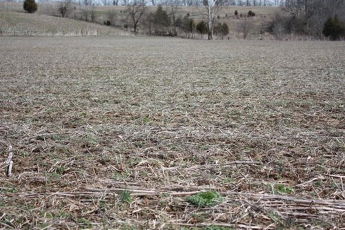 Property photo 14 - ABSOLUTE AUCTION - 298 Acres Offered in 4 Tracts